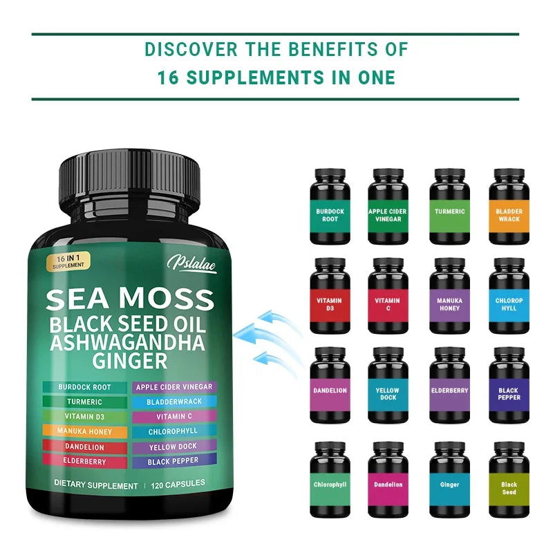 Sea Moss Fusion – Natural Digestive, Bone & Joint Health Support