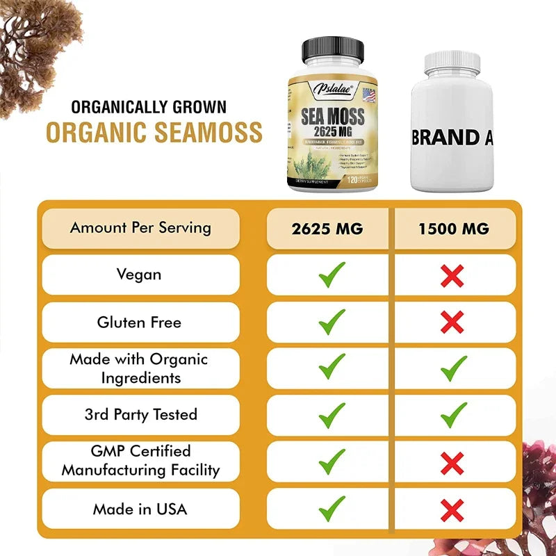 Sea Moss Complex 2625mg – Skin, Joint, Thyroid & Immune Support